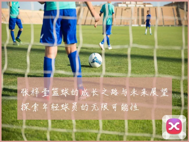 张梓壹篮球的成长之路与未来展望探索年轻球员的无限可能性