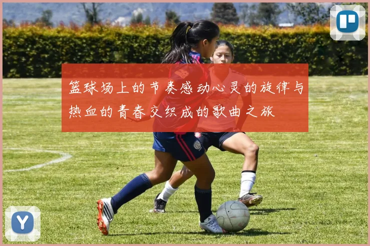 篮球场上的节奏感动心灵的旋律与热血的青春交织成的歌曲之旅