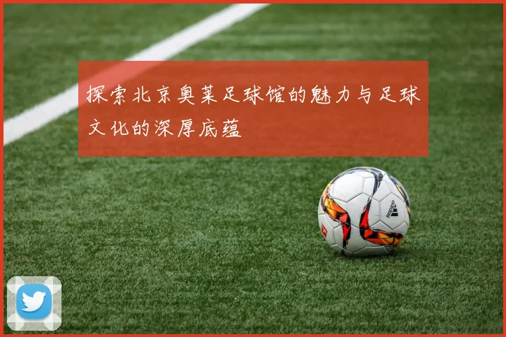 探索北京奥莱足球馆的魅力与足球文化的深厚底蕴