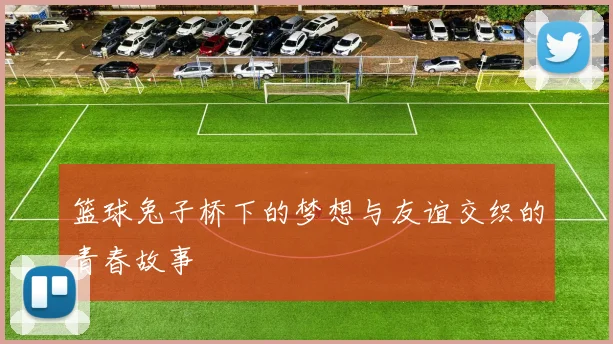 篮球兔子桥下的梦想与友谊交织的青春故事